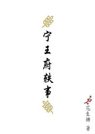 宁王府轶事封面