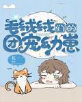 变态解构师封面