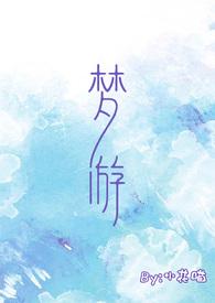 梦游（校园）封面
