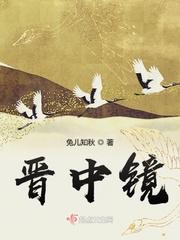 晋中镜封面