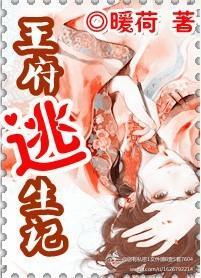 王府逃生记封面