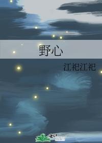 野心封面