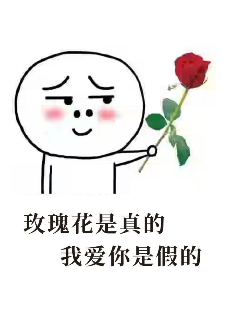 假少爷beta是万人迷封面