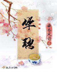华聘封面
