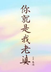 你就是我老婆封面