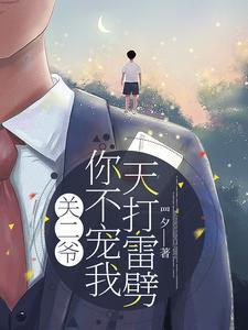 关二爷，你不宠我天打雷劈封面