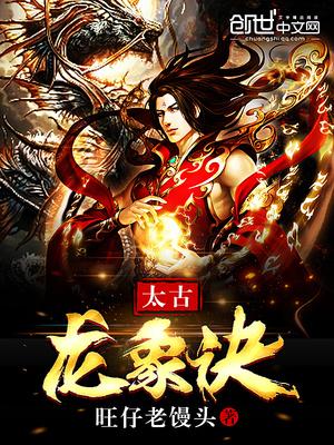 林枫全文封面