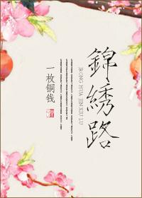 锦绣路封面