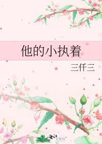 他的小执着封面