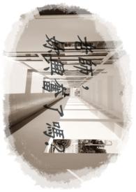 老师，你兴奋了吗？封面