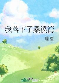 我落下了桑溪湾封面