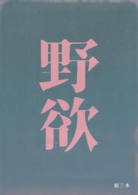 野欲（高H 伪骨科）封面
