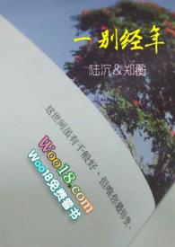 一别经年封面