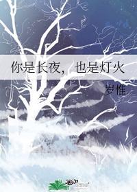 你是长夜，也是灯火封面