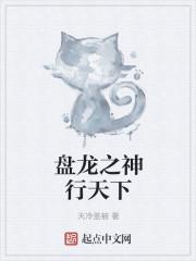 盘龙之神行天下封面