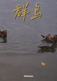 群鸟（1v2）封面