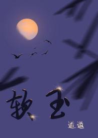 软玉封面