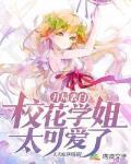 开局表白：校花学姐太可爱了封面