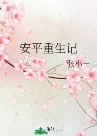 安平重生记封面