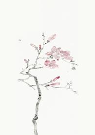 燕尔（古言1v1）封面