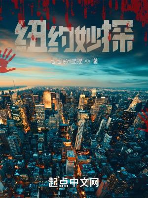 纽约妙探封面