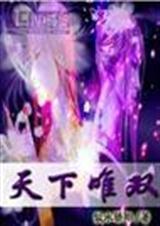 倾世·天下唯双封面