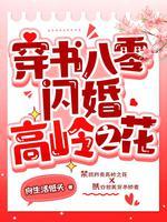 穿书八零闪婚高岭之花封面