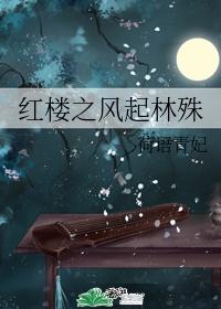 红楼之林家有子 青梅如豆封面