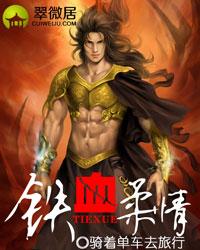 铁血柔情(军魂传奇)封面