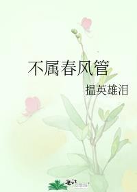 不属春风管封面