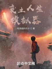 废土人生模拟器封面
