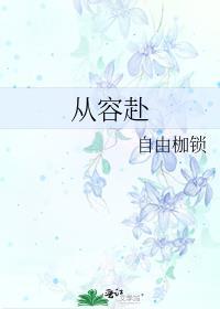 从容赴封面