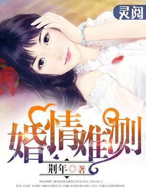 婚情难测封面
