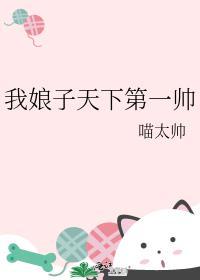 我娘子天下第一帅封面