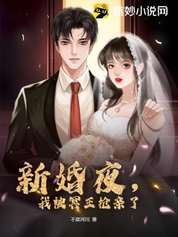 新婚夜，我被冥王抢亲了封面