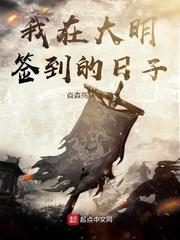 我在大明签到的日子封面