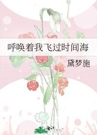 呼唤着我飞过时间海封面