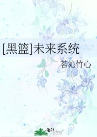 [黑篮]未来系统封面