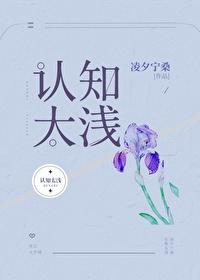 认知太浅封面
