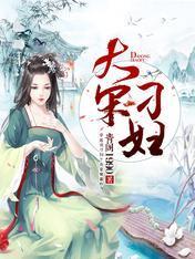 大宋刁妇封面