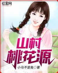 山村桃花源封面