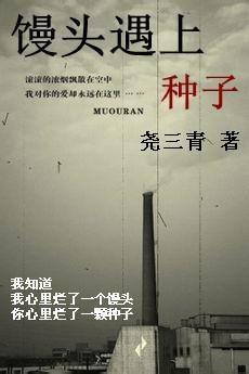 馒头遇上种子封面
