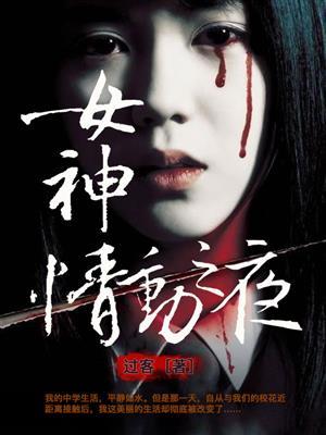女神情动之夜封面