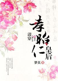 清穿孝昭仁皇后封面