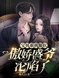 宝贝乖我服软,傲娇盛爷沦陷了封面