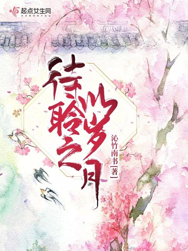 待聆之以岁月封面