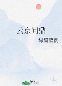 云京问鼎封面