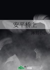 安平桥上封面