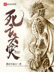 死亡天灾封面