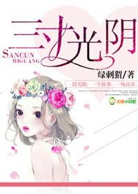 三寸光阴封面
